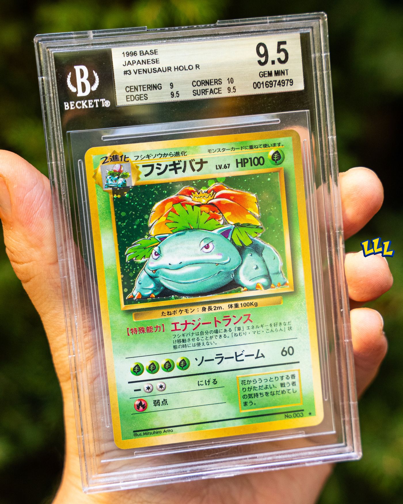 Venusaur, photo 3 of 3